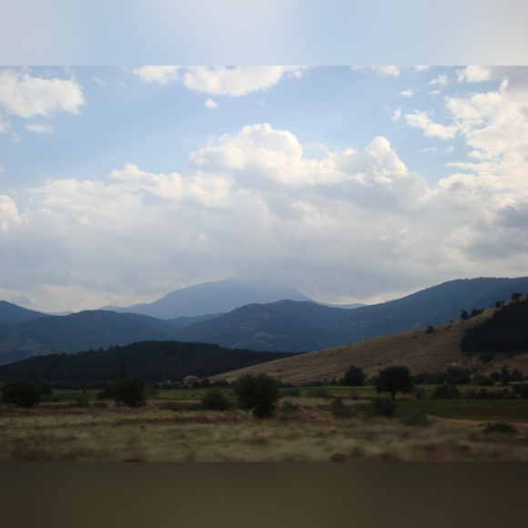 𓆸 Latest Statistics 𓆸 - Picture 8 of 16